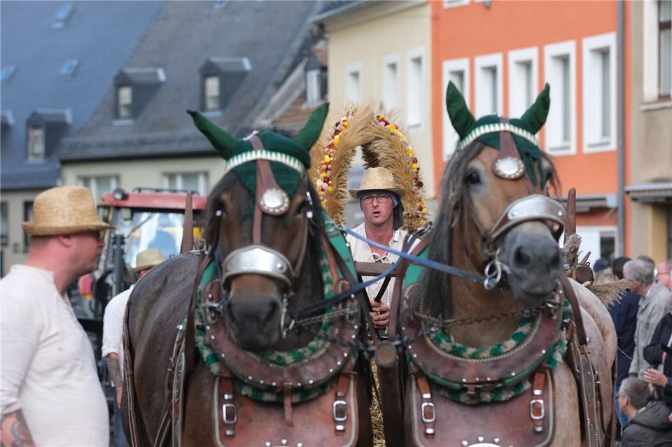 Der Festumzug gilt als Höhepunkt des Landeserntedankfestes so wie hier 2024 in Mittweida (Archivbild)Sebastian Willnow/dpa/ZB