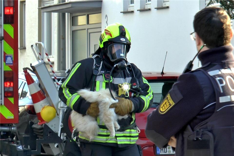 Der Feuerwehrmann hat die Katze fest im GriffPriebe/pr-video/dpa