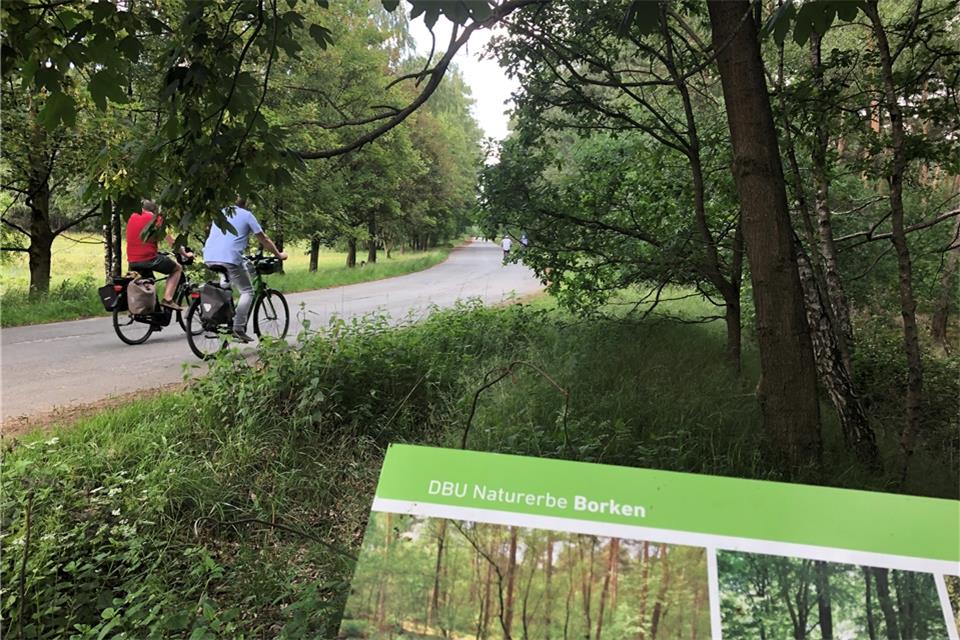 Der Fliegerberg ist für die AfD immer wieder ein Thema. Das Gelände gehört aber der Deutschen Bundestiftung Umwelt.