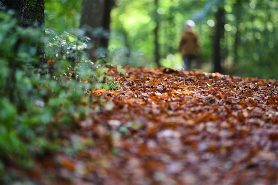Der Freitag hat noch einmal Wärme im Gepäck. Doch zum Wochenende macht der Herbst ernst – mit Regen und deutlich niedrigeren Temperaturen.Marijan Murat/dpa