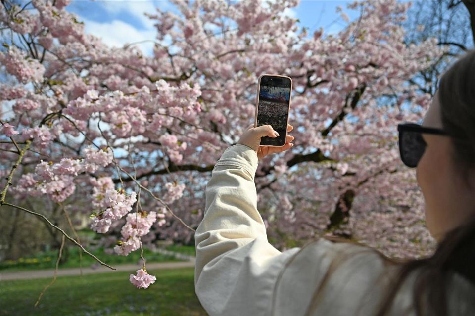 Der Frühling legte im März einen Turbo ein. Michael Brandt/dpa