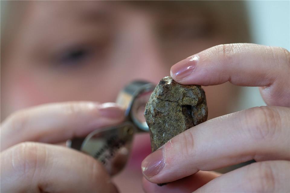 Der Fund der Fossilien gelang in einem Tal der Prüm in der SüdeifelHarald Tittel/dpa