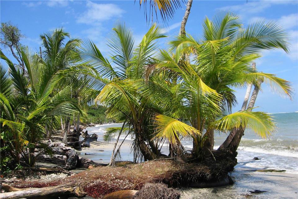 Der Fund zweier Leichen auf dem Grundstück eines deutschen Paares in Costa Rica gibt Rätsel auf. (Archivbild)picture alliance / dpa