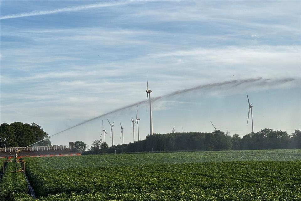 Der Gemüseanbau kommt ohne Beregnung im Sommer nicht aus. Das Problem sind längere Trockenphasen und steigende Temperaturen.