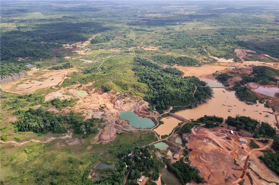 Der Gipfel konnte sich nicht auf deutliche Beschlüsse im Kampf gegen die Entwaldung einigen. (Archivbild)Larissa Schwedes/dpa