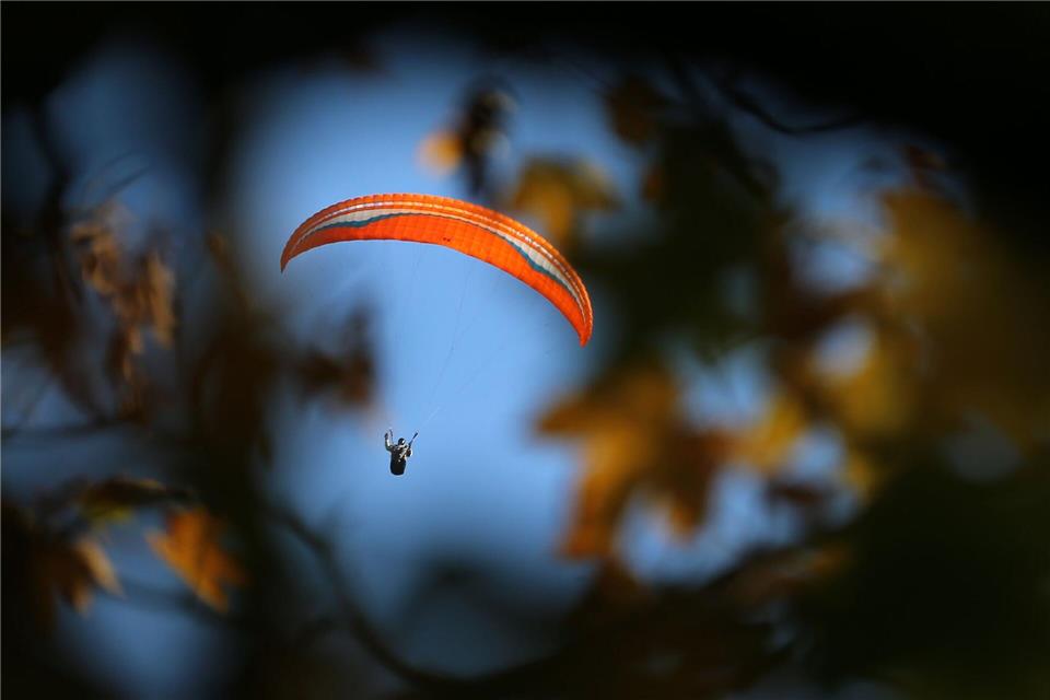 Der Gleitschirmflieger blieb in einem Baum hängen. (Symbolbild) Karl-Josef Hildenbrand/dpa