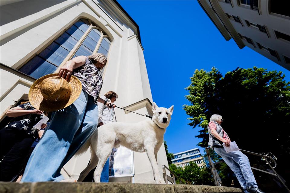 Der Gottesdienst sollte würdigen, wie wichtig vielen Menschen ihre Tiere sind.Christoph Soeder/dpa