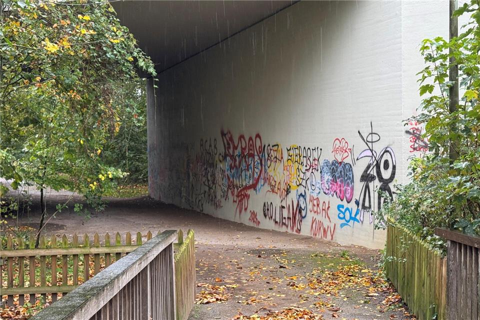 Der Graffititunnel unter der B70 in Weseke (Nähe des Heimathauses) zeugt aktuell mehr von Schmierereien.