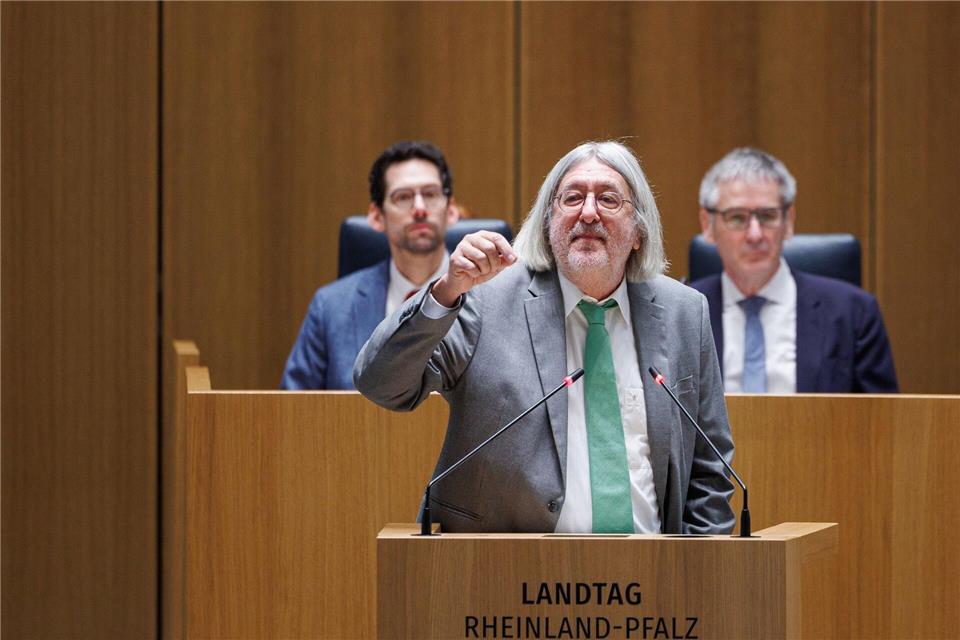 Der Grünen-Abgeordnete Bernhard Braun ist bei der Verbandsklage anderer Auffassung als der Koalitionspartner FDP.Hannes P. Albert/dpa