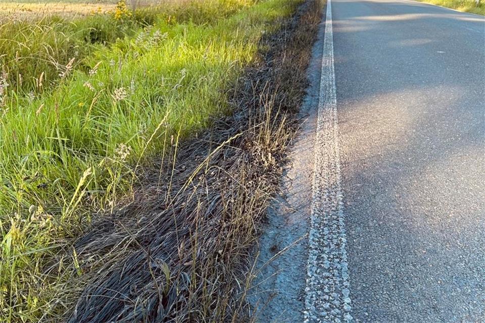 Der Grünstreifen der Marienthaler Straße ist mit einer dunklen Substanz verschmutzt worden.