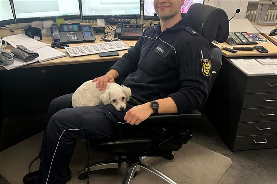 Der Halter der Hündin konnte bisher nicht ermittelt werden. Polizeipräsidium Offenburg/dpa