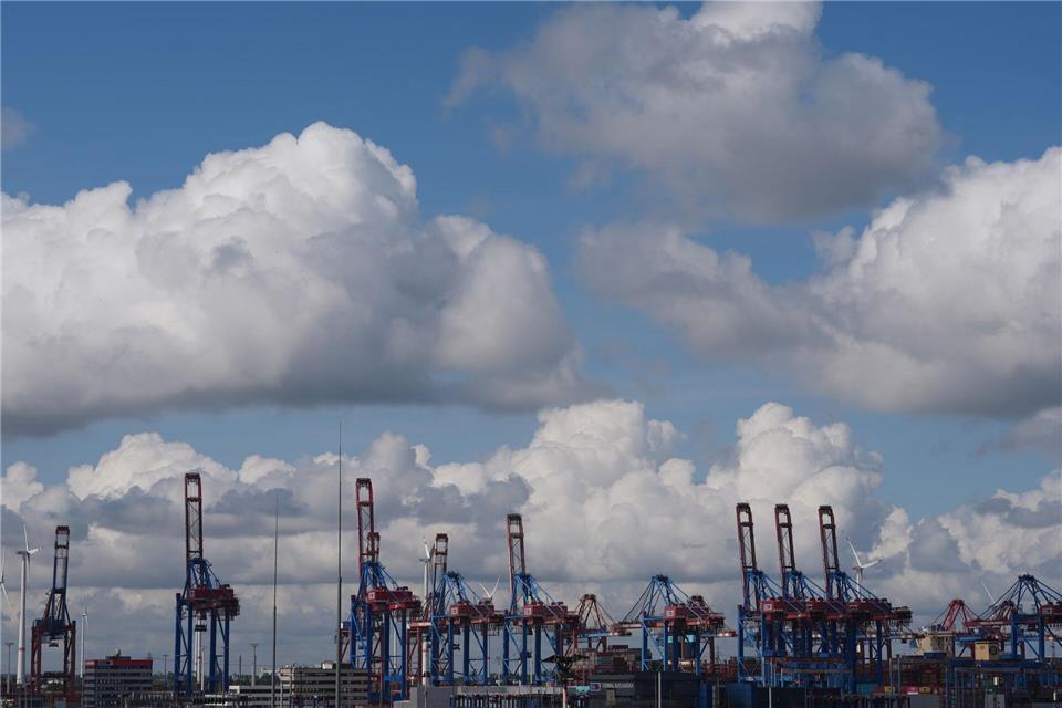 Der Hamburger Hafen ist mit seinen vier Containerterminals Deutschlands größter. (Archivbild) Marcus Brandt/dpa