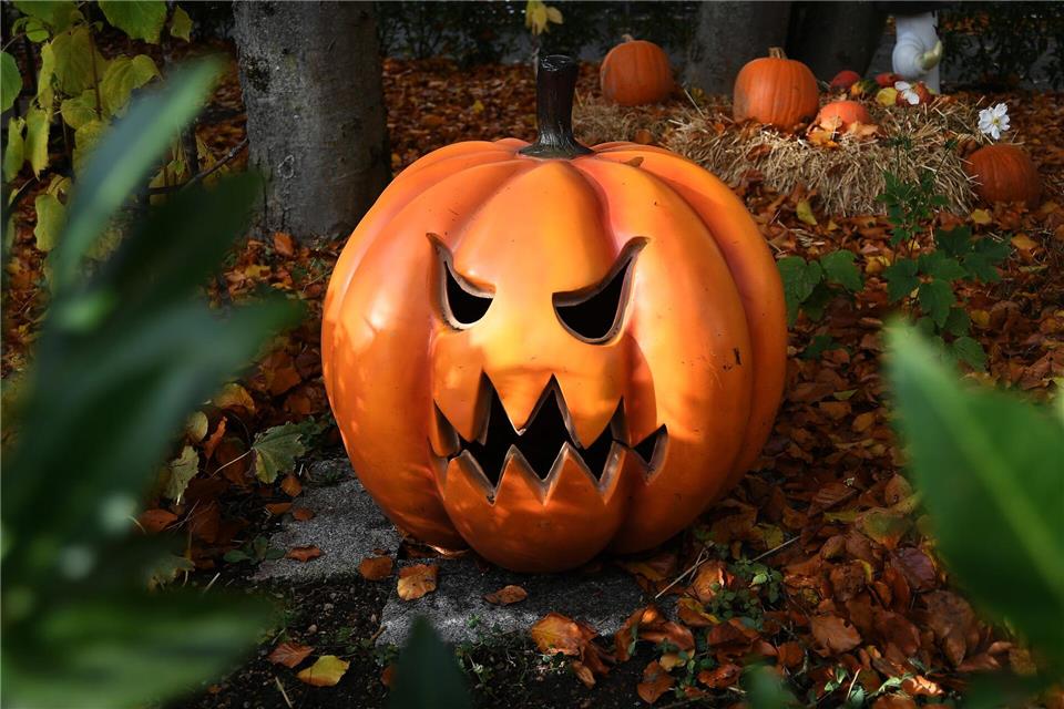 Sprudelnde Umsätze durch Halloween? Was der Handel erwartet  Der Handelsverband Berlin-Brandenburg schätzt, dass die Umsätze zu Halloween knapp das Vorjahresniveau erreichen. (Symbolbild)Felix Hörhager/dpa