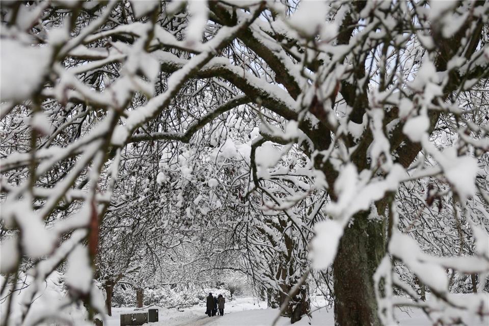Der Hauptfriedhof in Altona ist wegen des Winterwetters schon gesperrt worden. (Archivbild) Christian Charisius/dpa