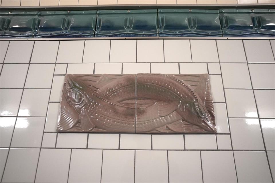 Der Hecht ist eines von 14 Tieren, das auf diesen besonderen Reliefs in beiden Tunnelröhren zu sehen ist. Marcus Brandt/dpa