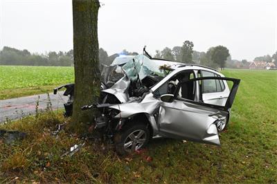 Heiden resident suffers fatal injuries