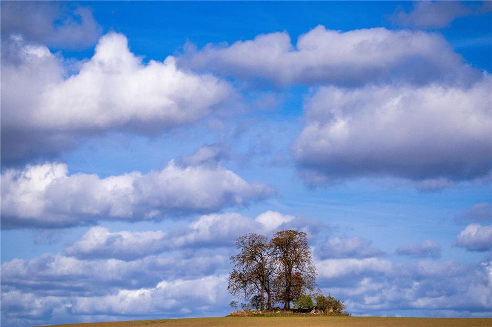 Der Herbst ist da Jens Büttner/dpa
