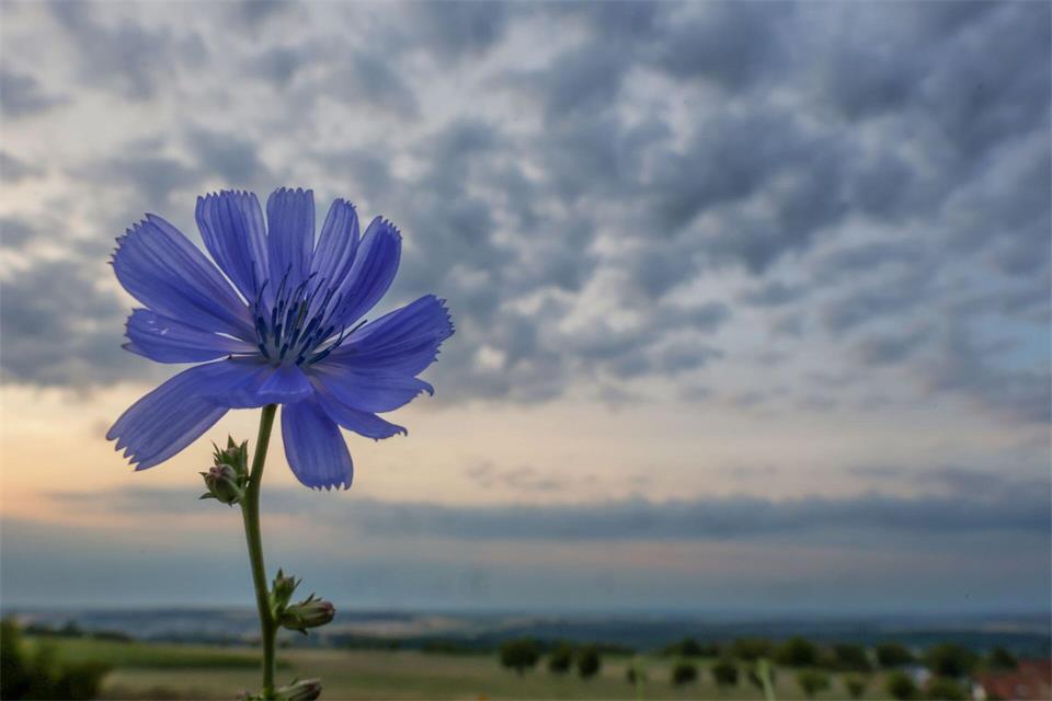 Der Himmel ist an diesem Wochenende in Hessen wechselnd bewölkt. Zeitweise sind Regenwolken dabei. (Symbolbild)Thomas Warnack/dpa