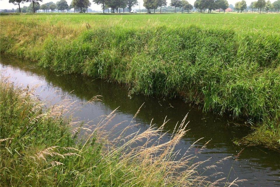 Der Hochwasserschutz an der Issel soll verbessert werden.