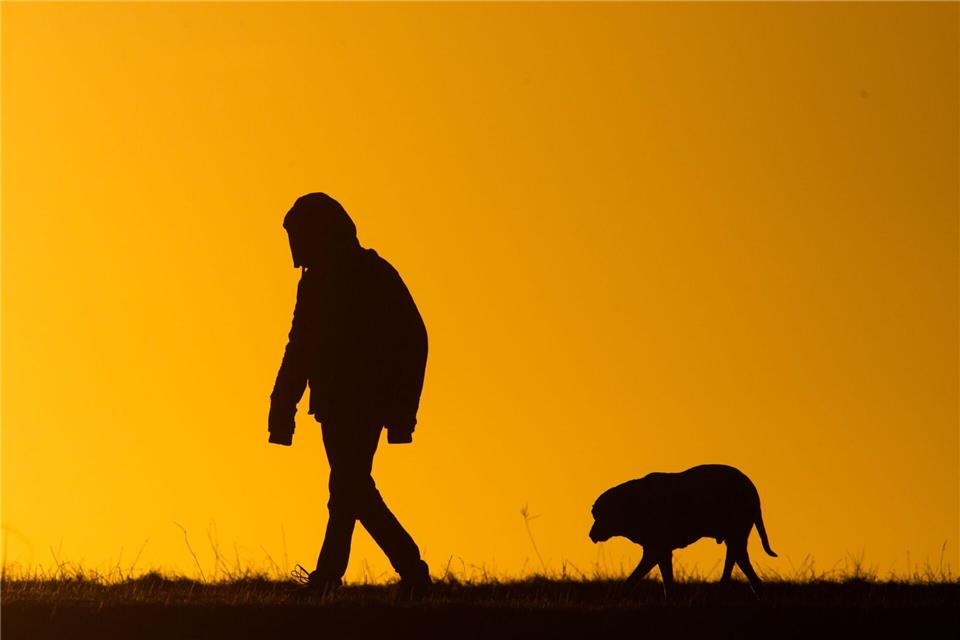 Der Hundebesitzer flüchtet nach dem Angriff unerkannt. (Symbolbild)Julian Stratenschulte/dpa