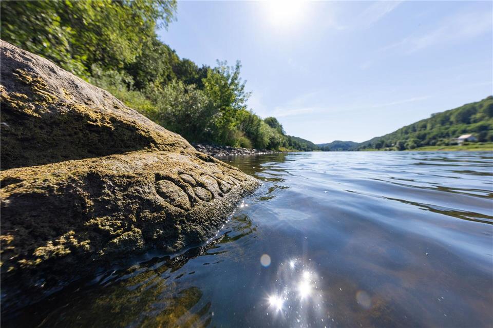 Der Hungerstein in der Elbe bei Pirna-Oberposta zeigt eingemeißelte Jahreszahlen vergangener Niedrigwasserjahre. Jürgen Lösel/dpa