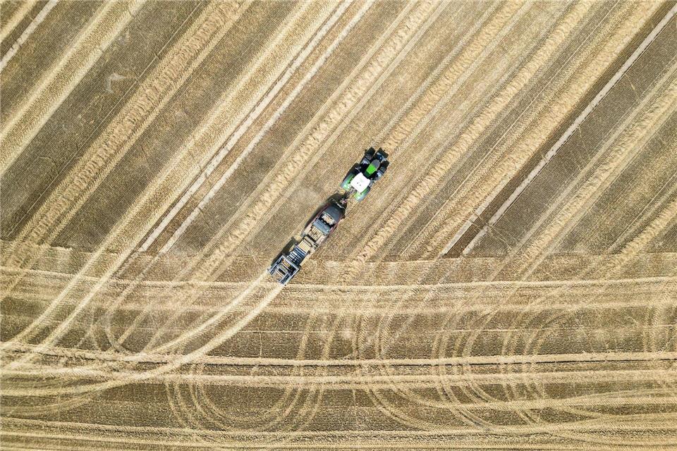 Der Investor kontrolliert mehr als 20.000 Hektar Agrarfläche. (Archivbild)Jan Woitas/dpa