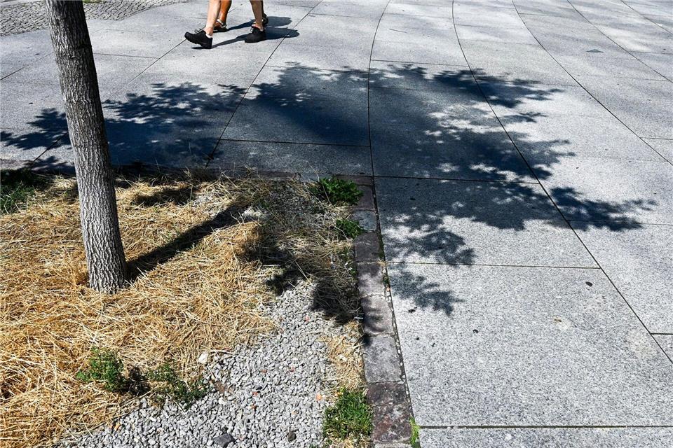 Der Juli war in Berlin laut DWD-Wetterbilanz zwar regnerischer als im Rest des Landes, aber ungewöhnlich warm.Jens Kalaene/dpa