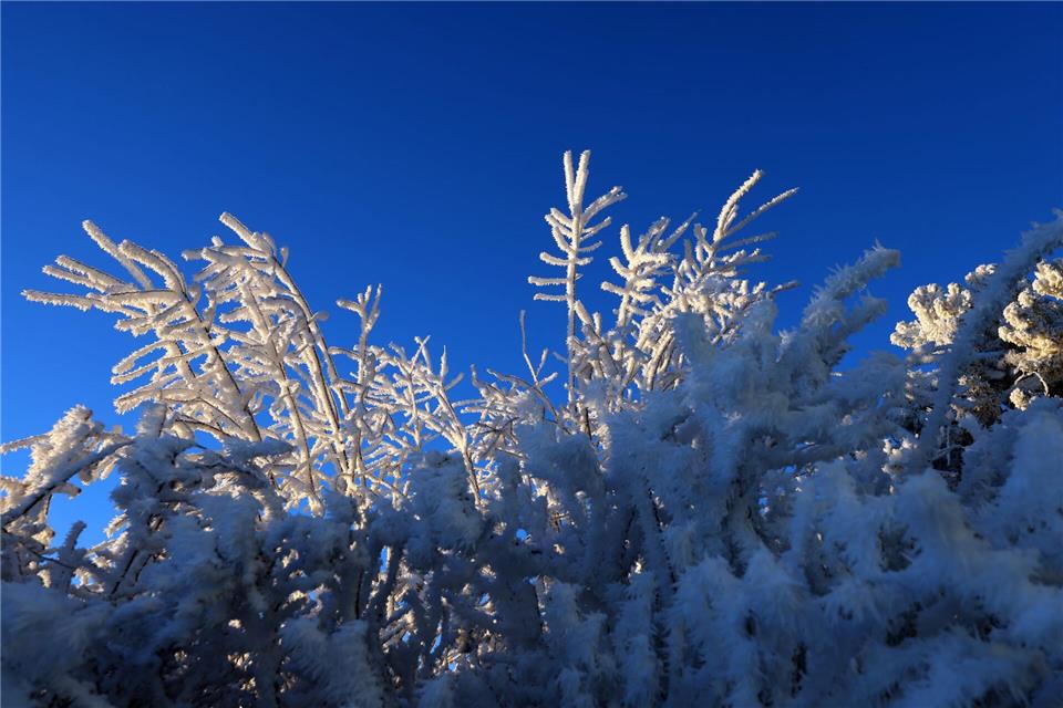 Der Junge hatte sich aus Angst vor Monstern in seinem Zimmer unter einer Hecke im Schnee versteckt. (Symbolbild)Karl-Josef Hildenbrand/dpa