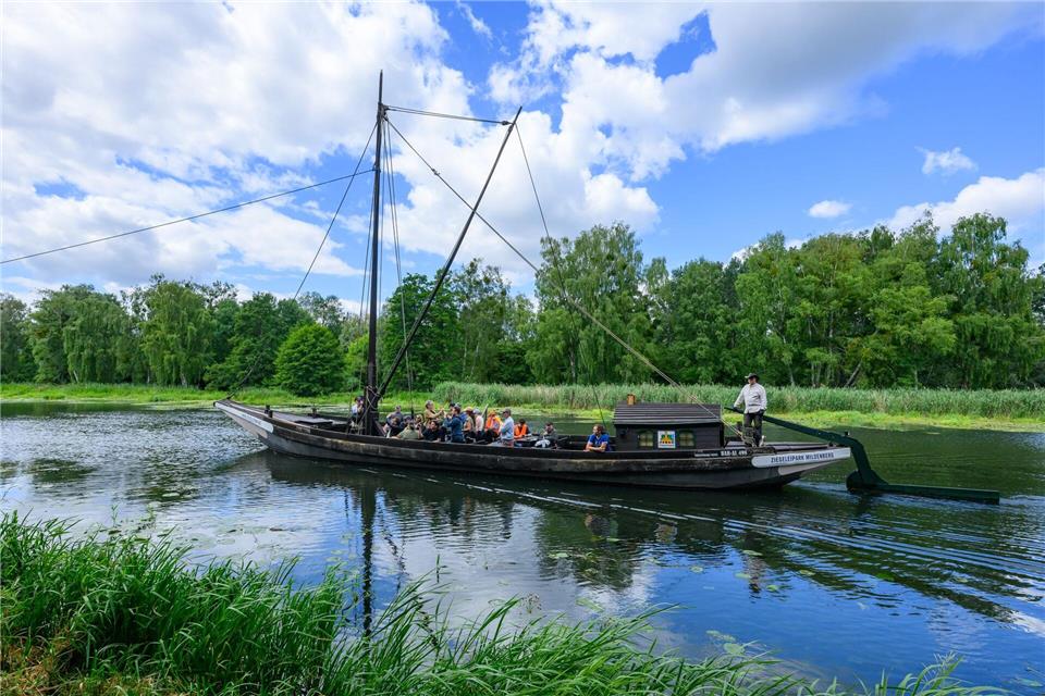 Der Kaffenkahn „Concordia“ wird beim Treidelfest über den Finowkanal an einem Seil von Maultieren gezogen. Patrick Pleul/dpa