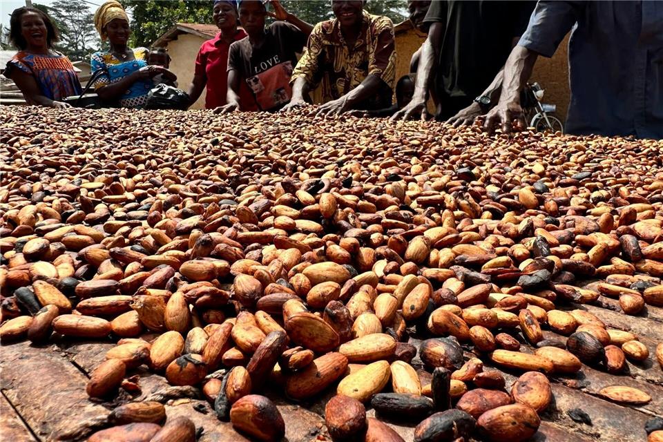 Der Kakaoanbau ist Experten zufolge besonders anfällig für extreme Wetterschwankungen. (Archivbild)Christina Peters/dpa