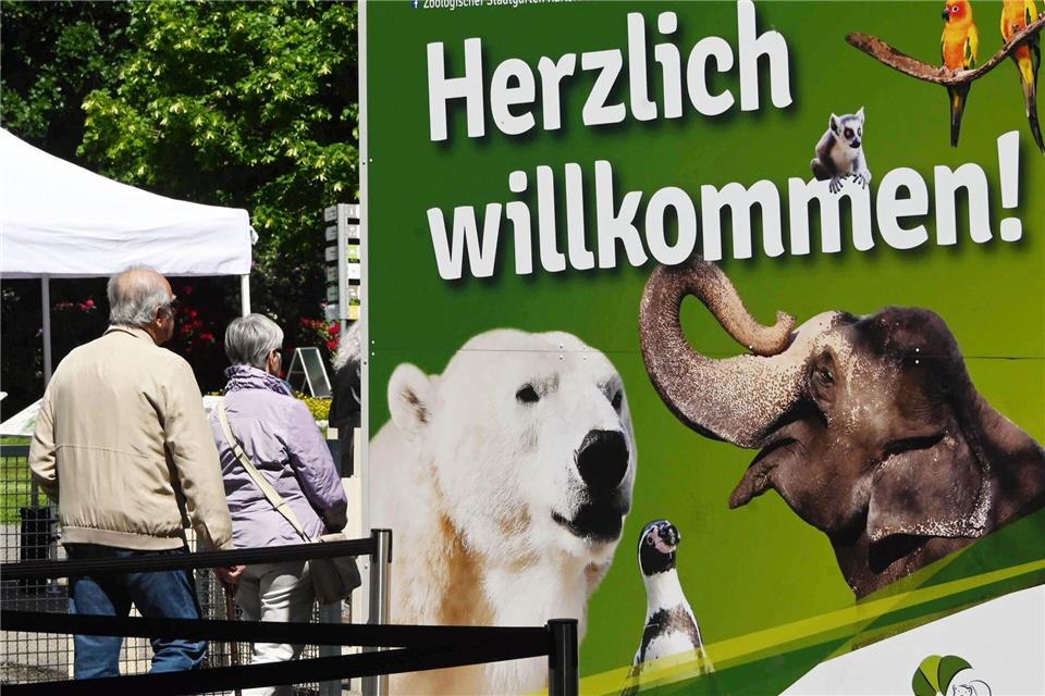 Der Karlsruher Zoo wirbt unter anderem mit den Eisbären. (Archivbild)Uli Deck/dpa