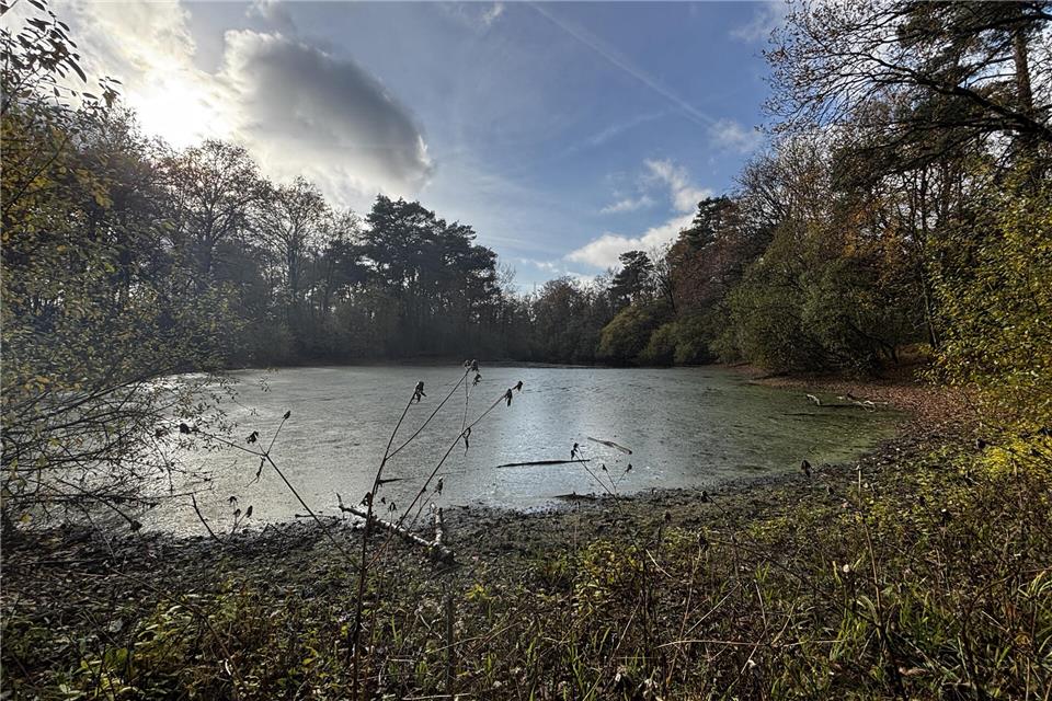 Der Kreis Borken will das Naturschutzgebiet Kranenmeer langfristig verändern.