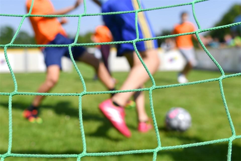 Der Landessportbund verzeichnet mehr Mitglieder in Vereinen. (Symbolbild)Uwe Anspach/dpa