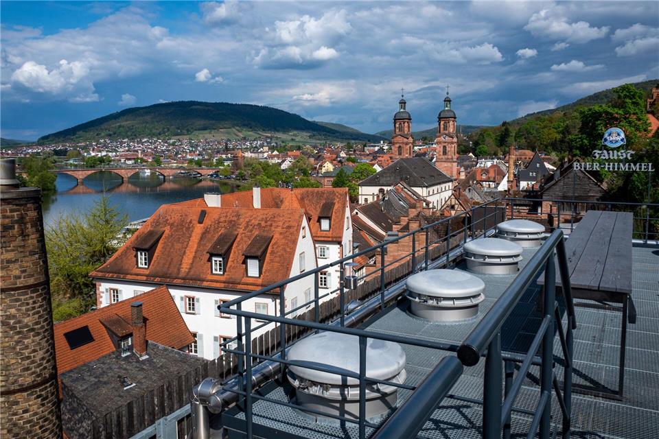 Der Landkreis Miltenberg hatte bisher einen Landrat von den Grünen. (Archivbild) Andreas Drouve/dpa-tmn