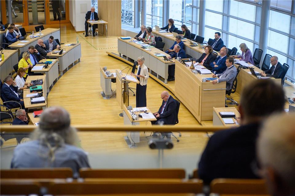 Der Landtag hat das Tariftreue- und Vergabegesetz modernisiert. (Archivbild)Klaus-Dietmar Gabbert/dpa