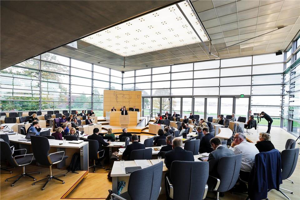 Der Landtag in Schleswig-Holstein hat sich mit der AfD auseinandergesetzt.Frank Molter/dpa