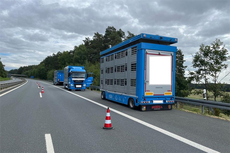 Der Lastwagen mit den Tieren war liegengeblieben. (Handoutbild)-/Verkehrspolizei Bayreuth/dpa