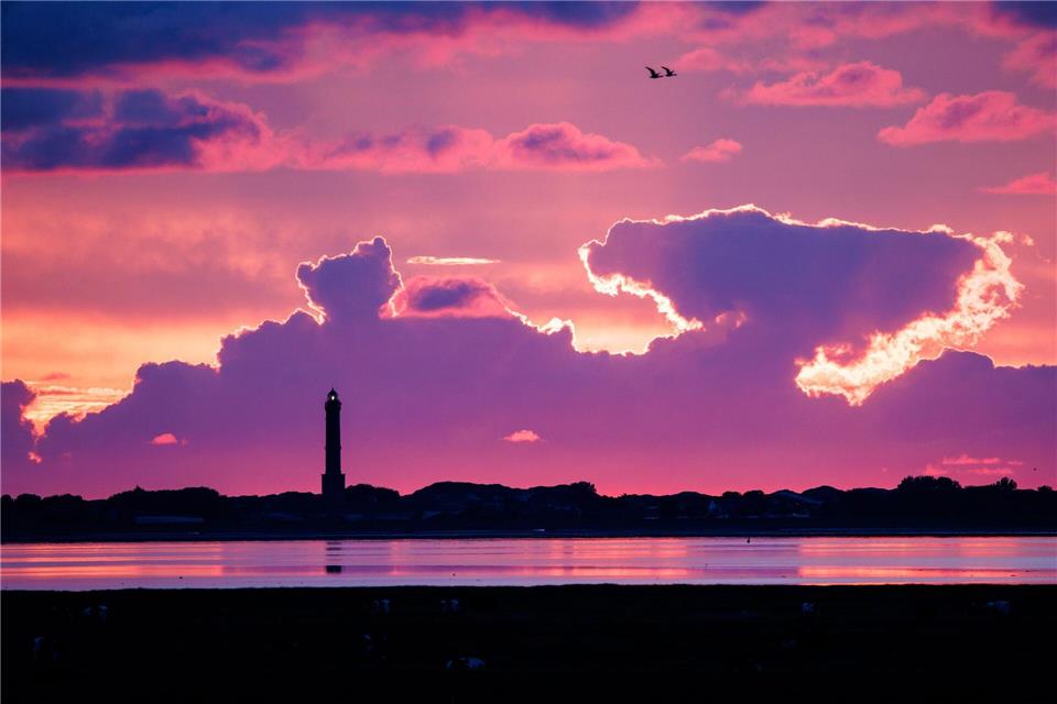 Der Leuchtturm ist eines der Wahrzeichen der ostfriesischen Insel. (Archivbild)Matthias Balk/dpa