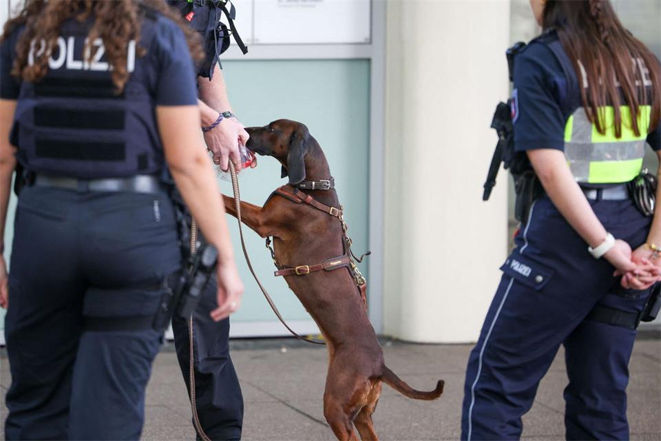 Der Mantrailer-Suchhund der Polizei riecht am Tatort in der Essener Innenstadt an einer Geruchsprobe.Christoph Reichwein/dpa