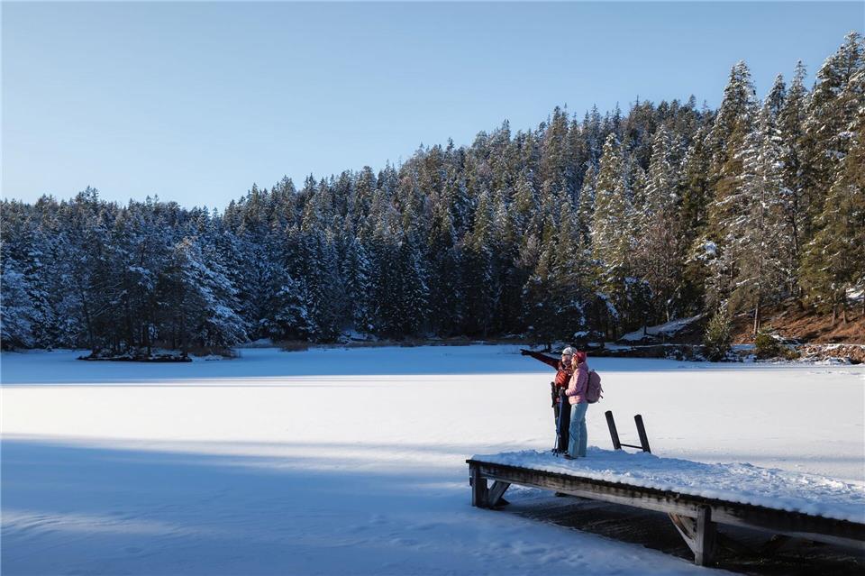 Der Möserer See ist ein Nachbarsee von Lotten- und Wildmoossee. Region Seefeld/dpa-tmn