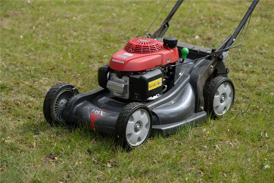 Der Nabu empfiehlt, im Mai auf das Rasenmähen zu verzichten. (Symbolbild)Ralf Hirschberger/zb/dpa