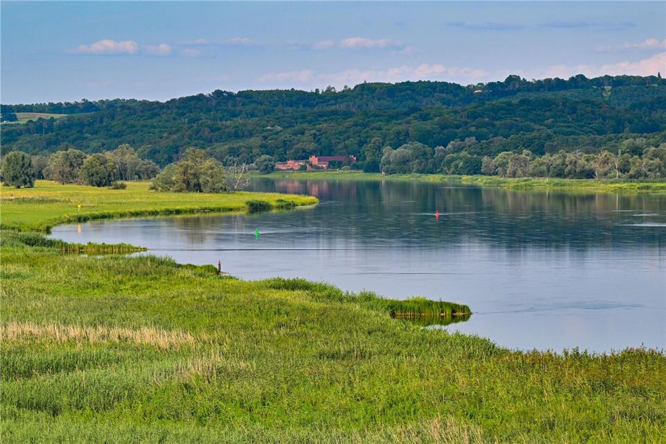 Der Nationalpark Unteres Odertal - eine geschützte Flussauenlandschaft im Nordosten von Brandenburg - besteht seit 30 Jahren. (Archivbild) Patrick Pleul/dpa