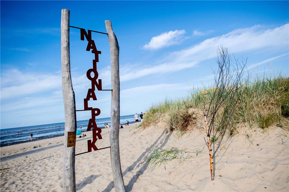 Der Nationalpark Wattenmeer gilt als Aushängeschild Niedersachsens. (Archivbild)Hauke-Christian Dittrich/dpa