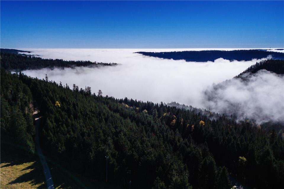 Der Nationalpark im Schwarzwald wird erweitert. (Archivbild)Philipp von Ditfurth/dpa