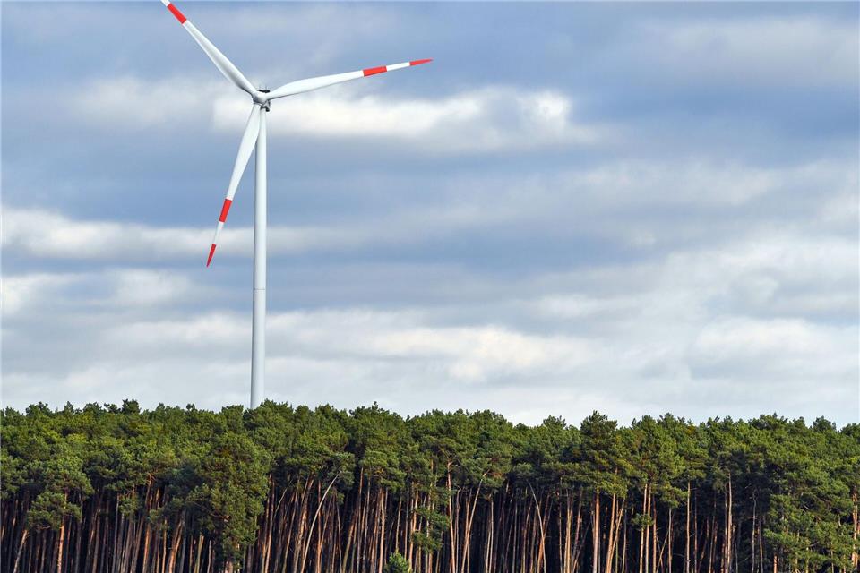 Der Naturschutzbund Deutschland (Nabu) in Sachsen lehnt Windkraftanlagen im Wald ab. (Archivbild)Patrick Pleul/dpa-Zentralbild/dpa