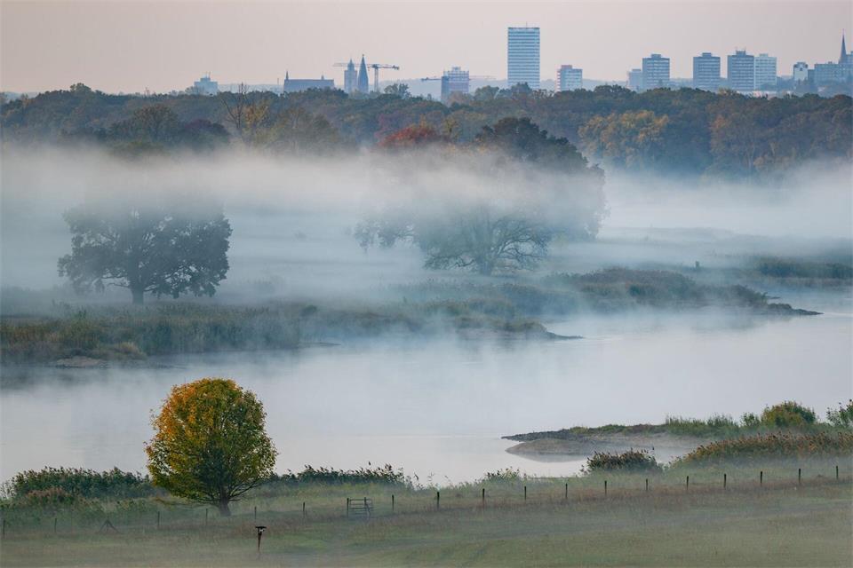 Der Nebel hält sich in den kommenden Tagen oft hartnäckig. (Symbolbild)Patrick Pleul/dpa