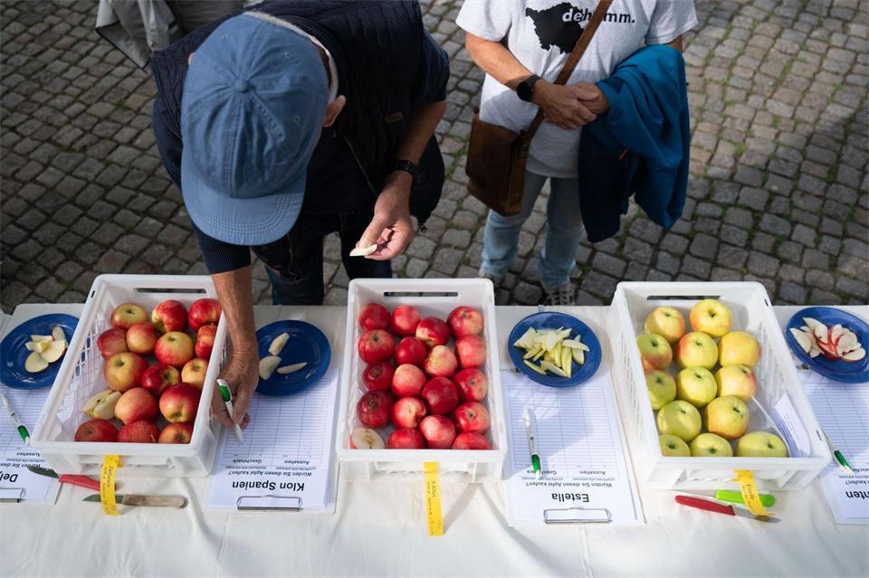 Der Obstbauverband Sachsen & Sachsen-Anhalt wirbt für den Anbau regionaler Produkte.Katharina Kausche/dpa