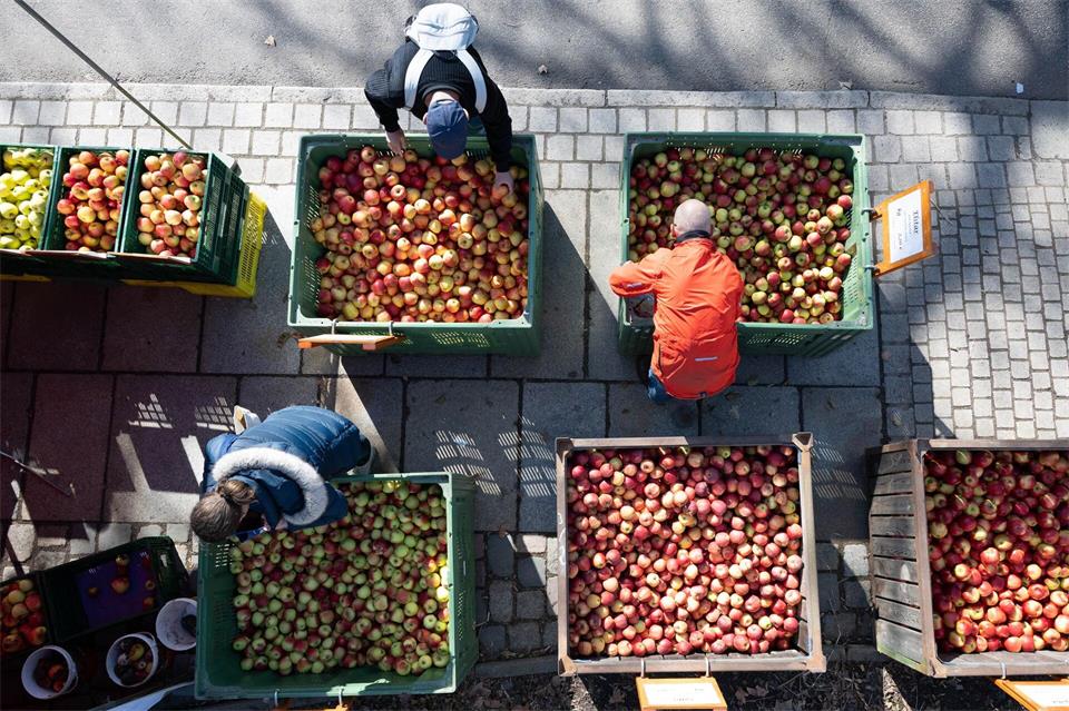 Der Obstbauverband warnt vor zunehmendem Druck auf die Betriebe. (Archivbild)Sebastian Kahnert/dpa