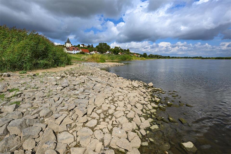 Der Oder fehlt reichlich Wasser. Patrick Pleul/dpa