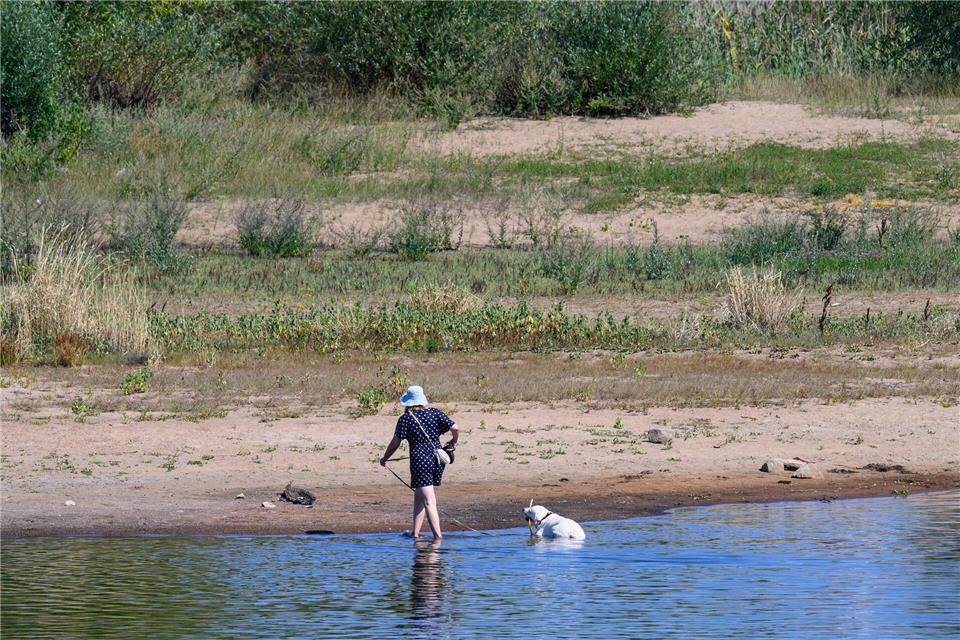 Der Oder fehlt reichlich Wasser - es zeigen sich Sandbänke, die teils Spaziergänger nutzen. Patrick Pleul/dpa